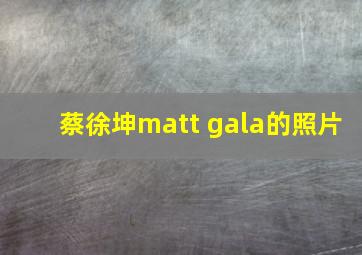 蔡徐坤matt gala的照片